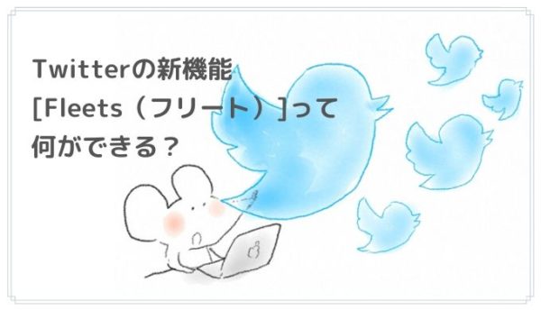 Fleets フリート Twitter新機能 の使い方と機能まとめ 引用やコメントはできる 隠れworker本舗